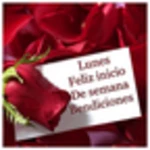 rosas con frases bonitas android application logo